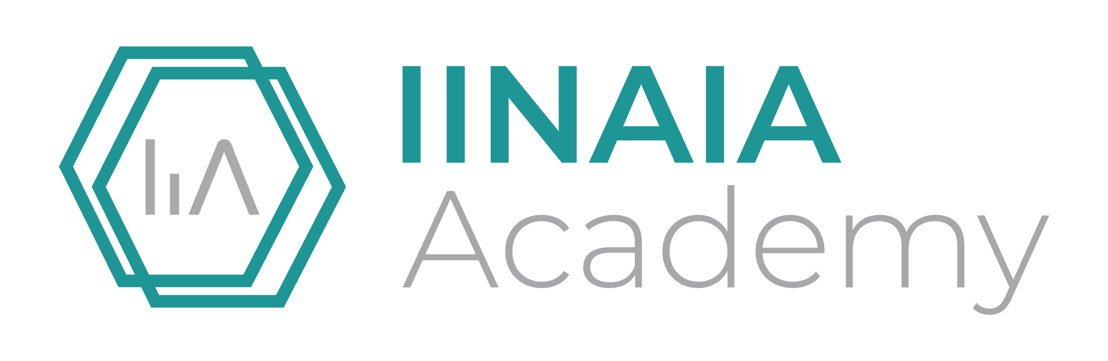 logo iinaia